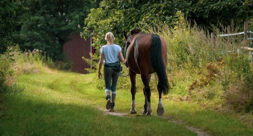 Pferd und Mädchen